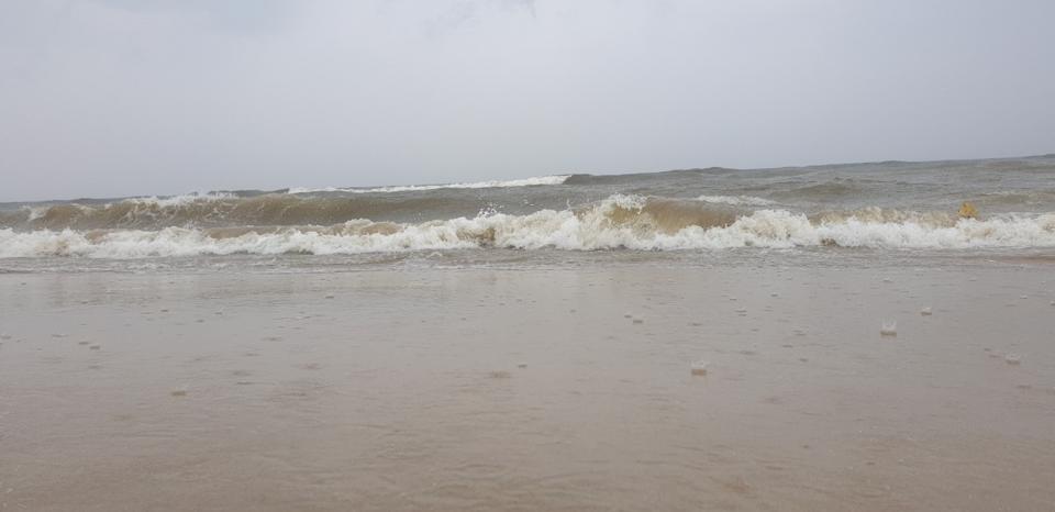 Tin mới nhất về bão số 4: Đà Nẵng đã có mưa to, gió rít
