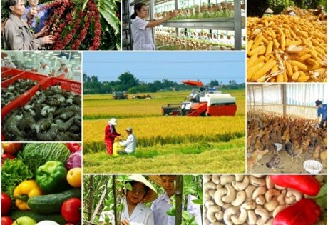 Chín tháng năm 2022 ngành nông nghiệp tăng trưởng xấp xỉ 3 %