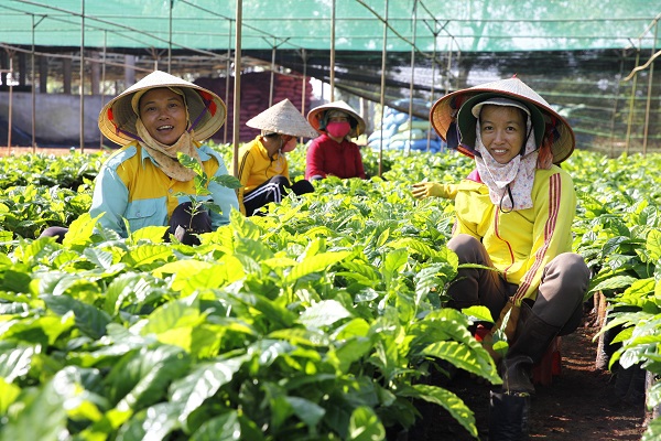 Nestlé công bố kế hoạch NESCAFÉ Plan 2030