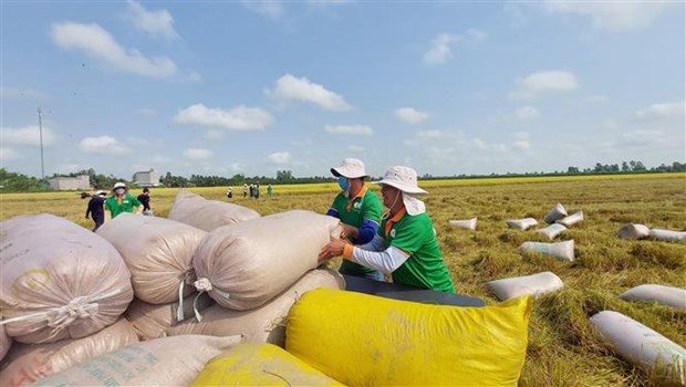 Xuất khẩu gạo thu về gần 2,61 tỷ USD