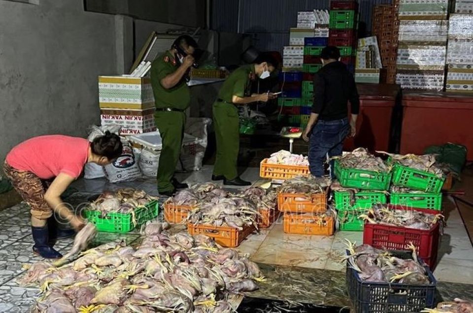 Đồng Nai: Phát hiện hơn 2,2 tấn gà thịt  bốc mùi hôi thối chuẩn bị đưa đi tiêu thụ