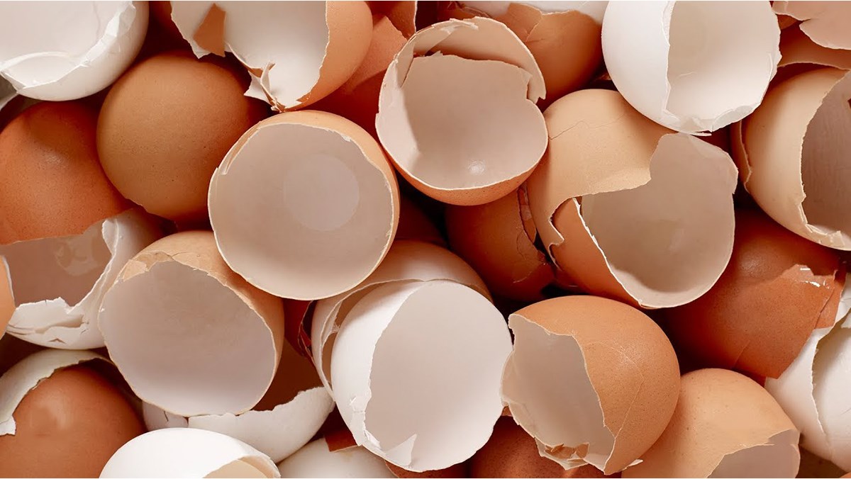 Cách tận dụng vỏ trứng tuyệt vời có thể chị em chưa biết
