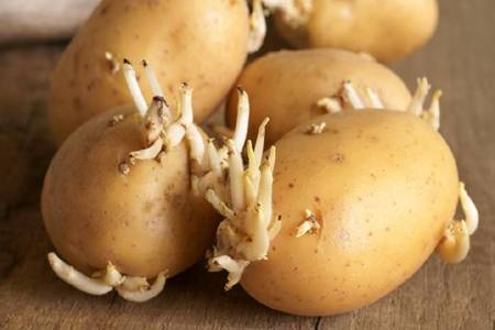 Lợi ích và những điều cần lưu ý khi ăn khoai tây