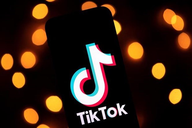 TikTok có nội dung phản cảm, vi phạm pháp luật Việt Nam