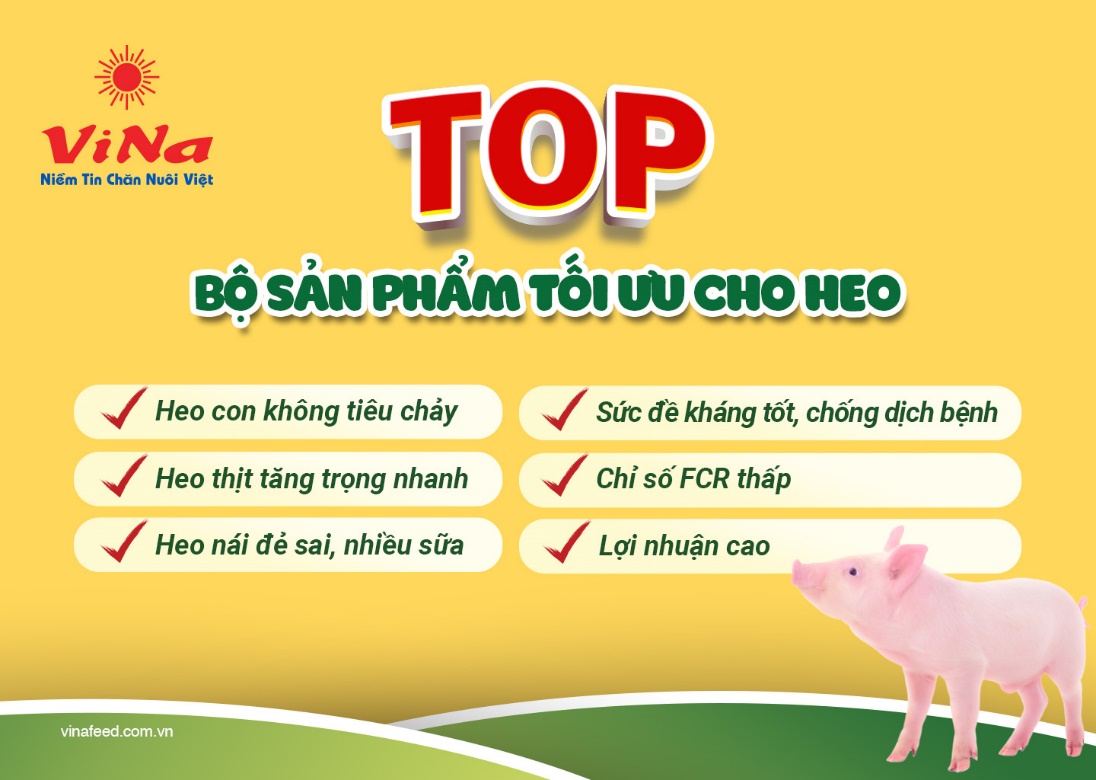 Vinafeed Group ra mắt dòng sản phẩm cao cấp mới cho heo giống 