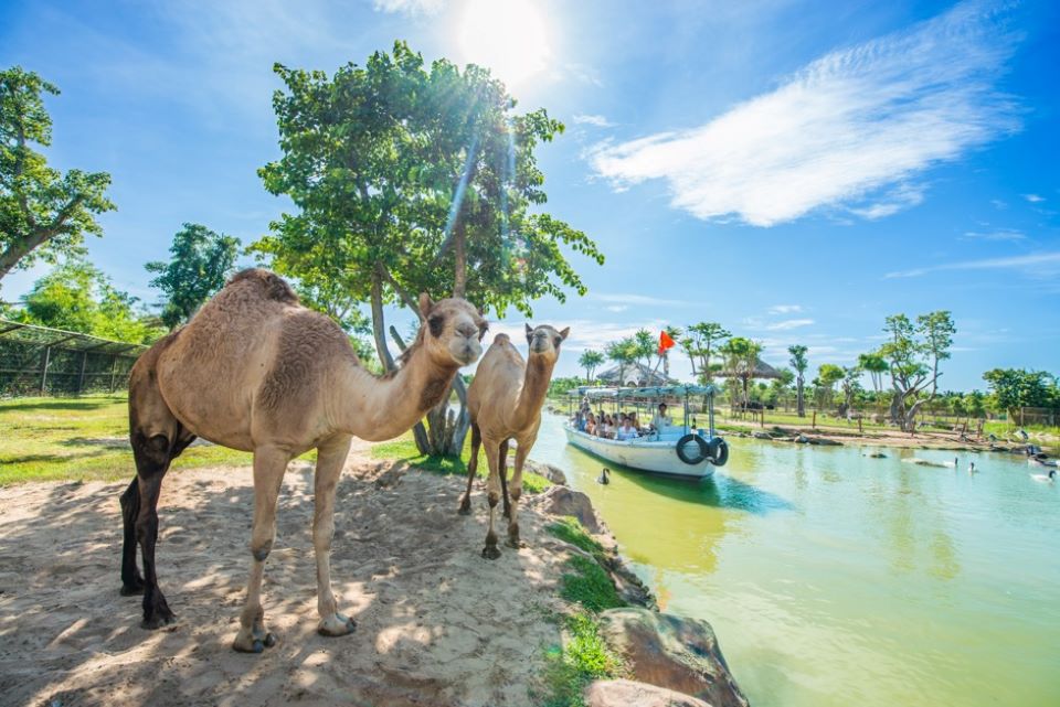 “Nghỉ dưỡng diệu kỳ, phiêu hè lãng mạn” tại miền biển di sản