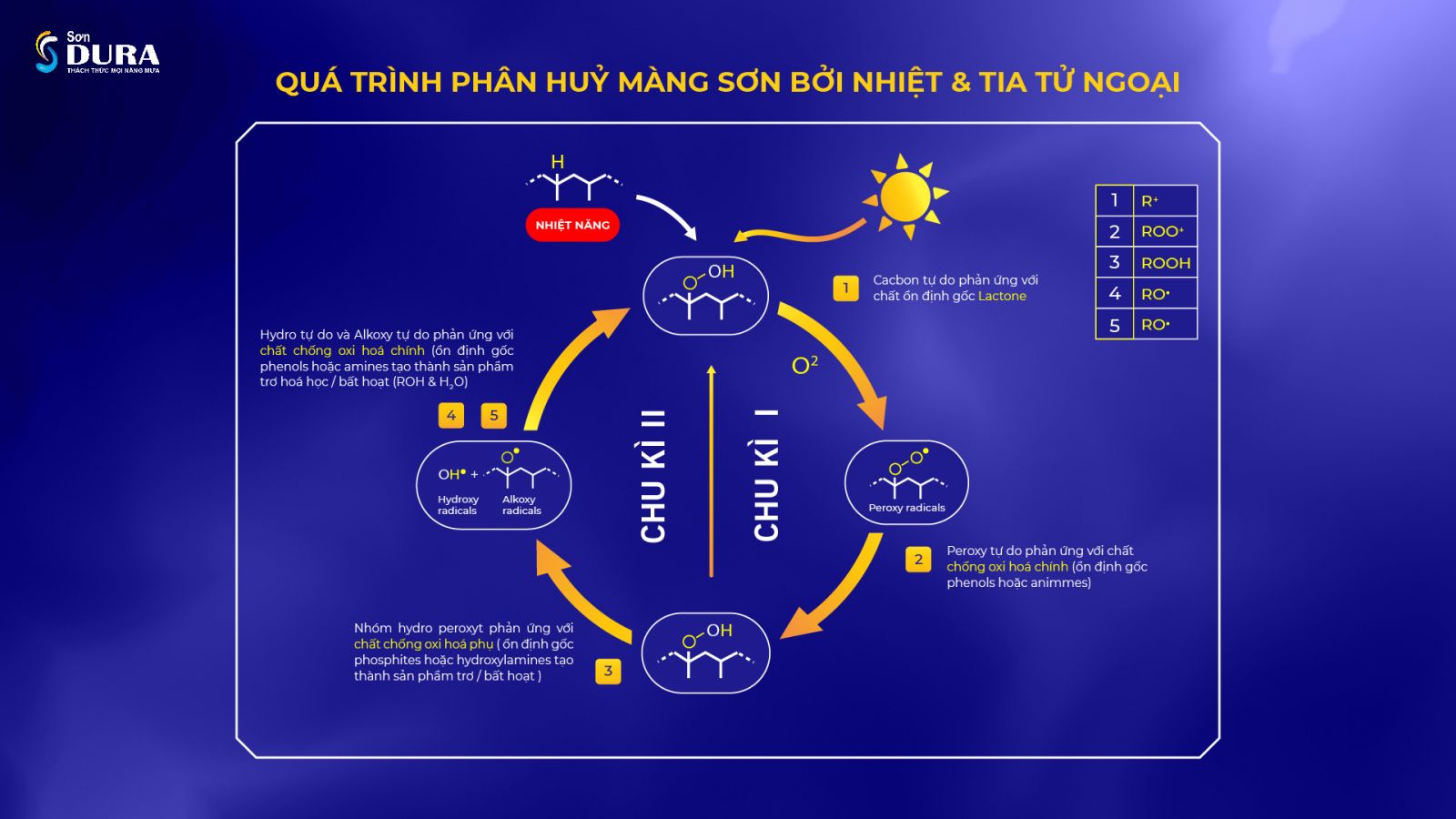 Sơn Dura có tốt không?