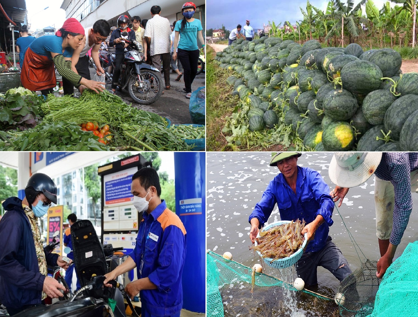 Tiêu dùng trong tuần (từ 7-13/8/2023): Giá rau xanh tăng cao, dưa hấu giảm còn 2.000 đồng/kg