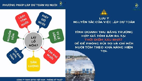 Giải pháp duy trì lợi nhuận trong thời điểm khủng hoảng giá tôm