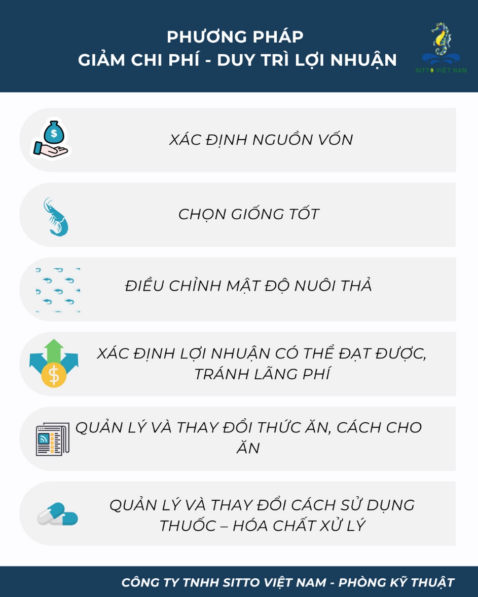 Giải pháp duy trì lợi nhuận trong thời điểm khủng hoảng giá tôm