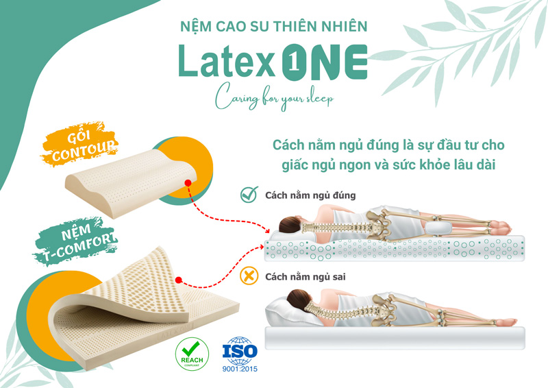 Nệm Latex One 100% cao su thiên nhiên phân 5 vùng T-Comfort giúp bảo vệ cột sống và cải thiện giấc ngủ Nệm Latex One nỗ lực bảo vệ môi trường bằng cách sử dụng nguyên liệu tự nhiên Nệm T-Comfort phân vùng giúp giảm căng thẳng và đau nhức