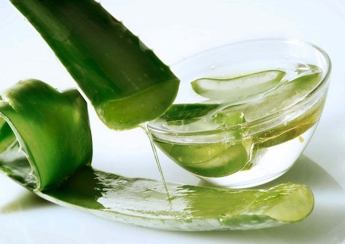 Cách làm nha đam hết nhớt, không bị đắng cực dễ tại nhà