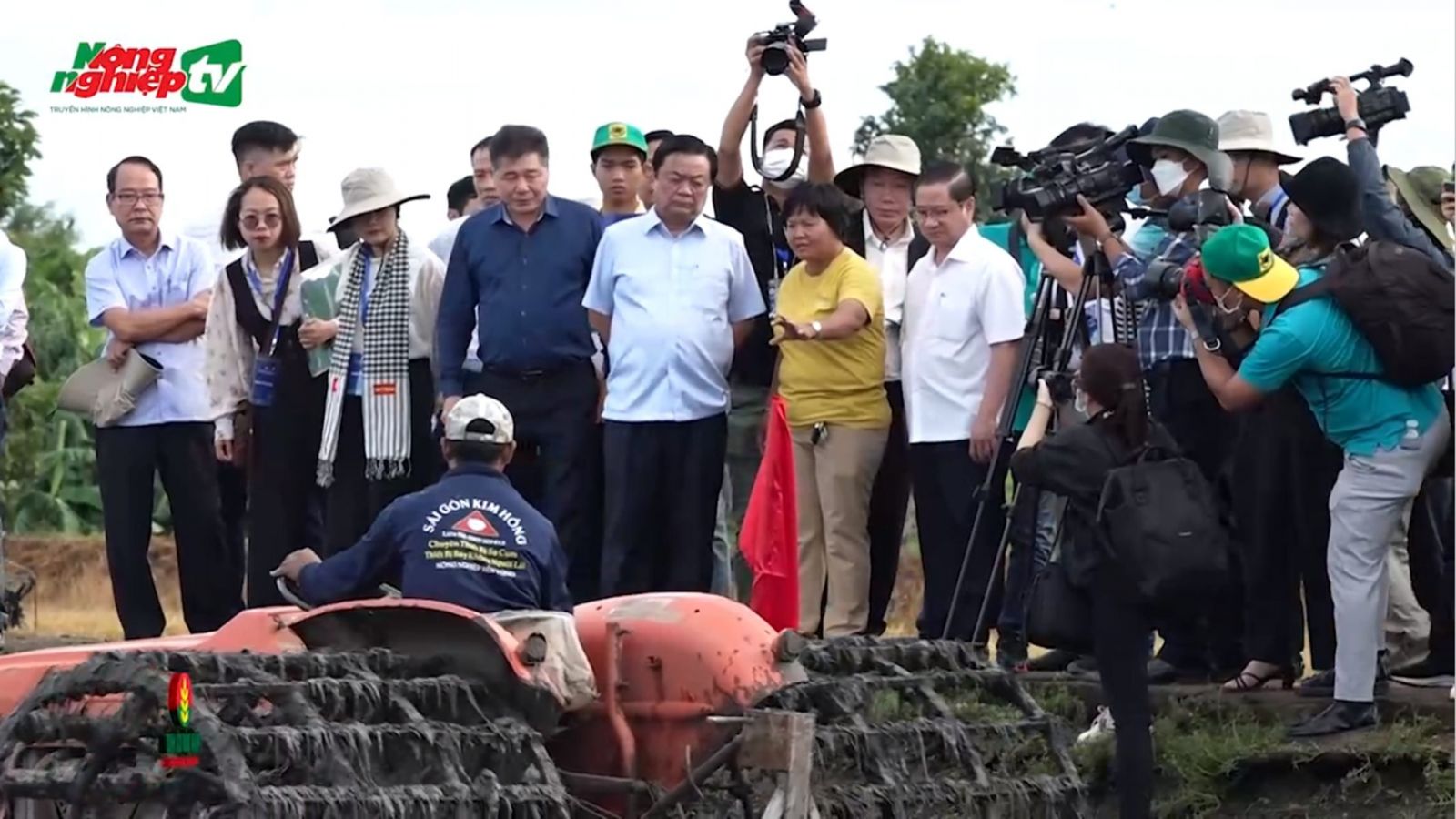 Giải pháp sạ cụm kết hợp bón vùi phân đem lại hiệu quả cao trong canh tác lúa