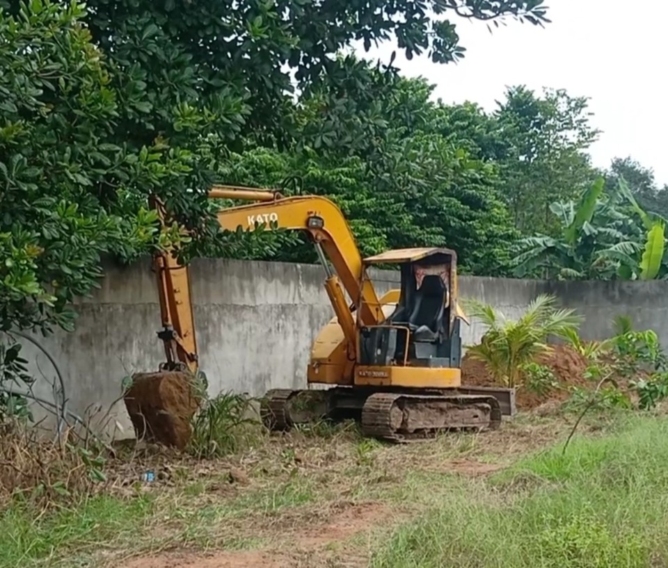 Đồng Nai: Tiêu hủy toàn bộ số heo bị dịch tả châu Phi