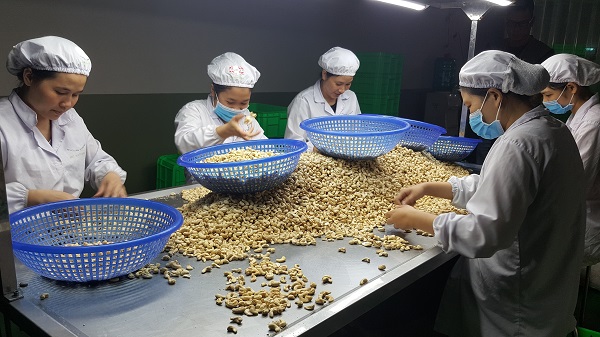 hiep hoi dieu dua ra canh bao ve chat luong tu cac ban hang lon