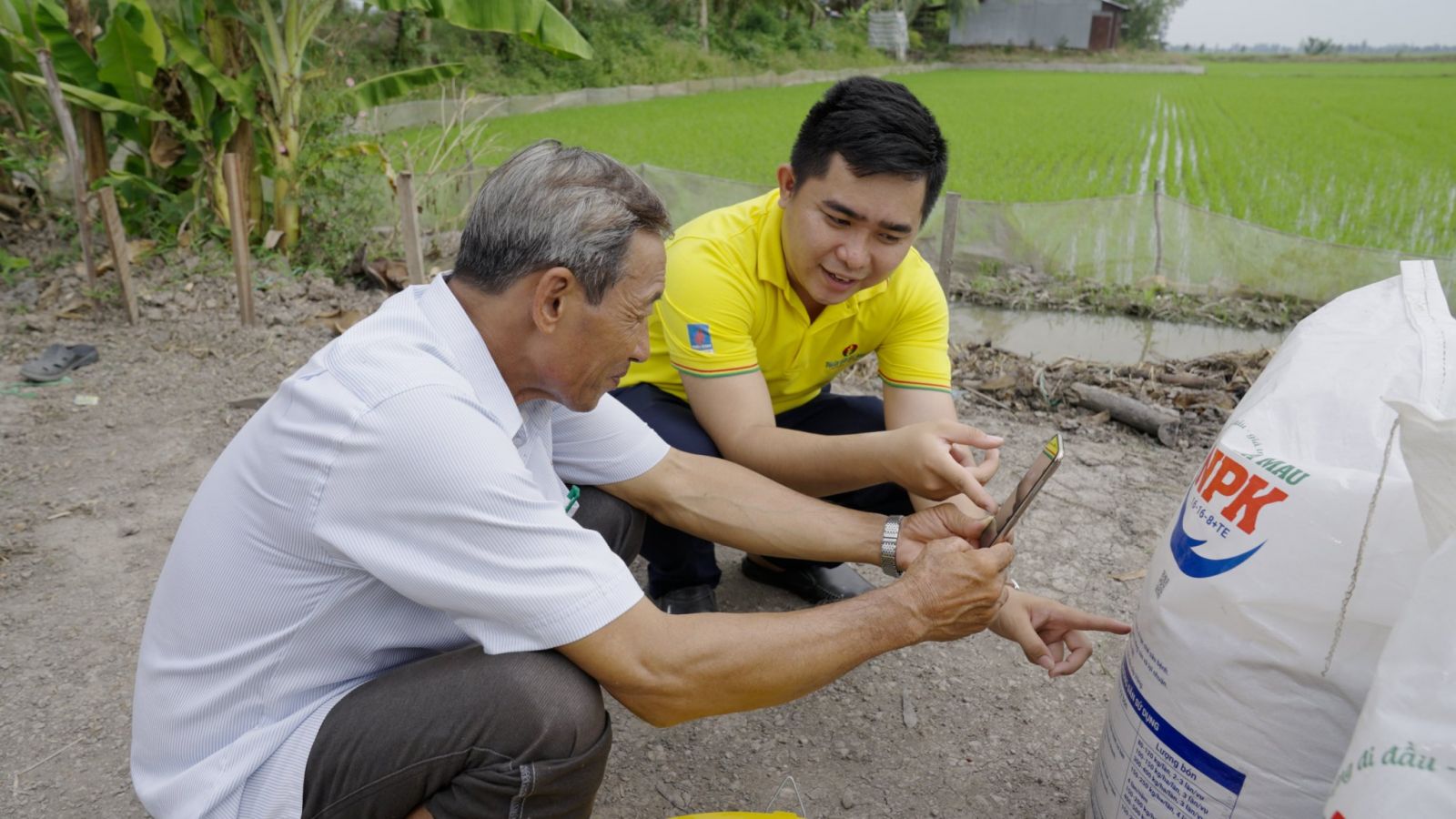 Tiêu dùng thông minh - Phân bón Cà Mau là lựa chọn hàng đầu