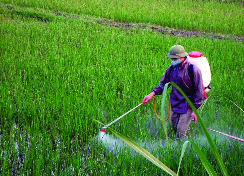 An toàn thực phẩm trong sản xuất nông nghiệp qua góc nhìn báo chí và truyền thông