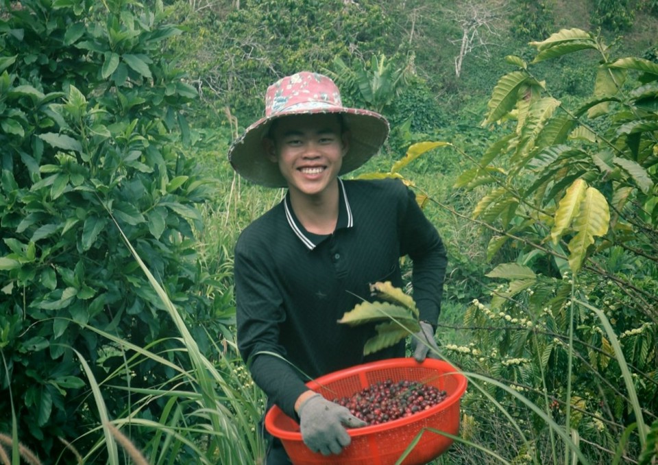 Người trẻ với hoài bão đem cà phê sạch tới người tiêu dùng