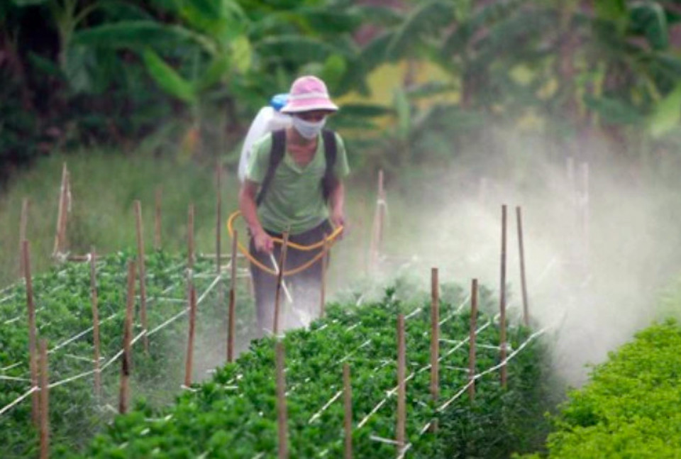 Chủ tịch VIPA: 100% các quốc gia trên thế giới sử dụng thuốc bảo vệ thực vật trong sản xuất nông nghiệp