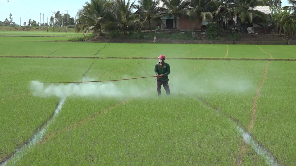 Sản xuất nông nghiệp bền vững không thể thiếu thuốc bảo vệ thực vật