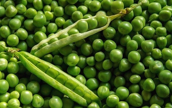 Vì sao ăn đậu Hà Lan tốt cho quá trình giảm cân?