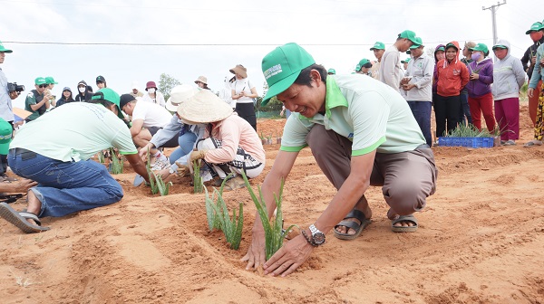 GC Food trao tặng 300.000 cây giống nha đam cho bà con đồng bào Raglai