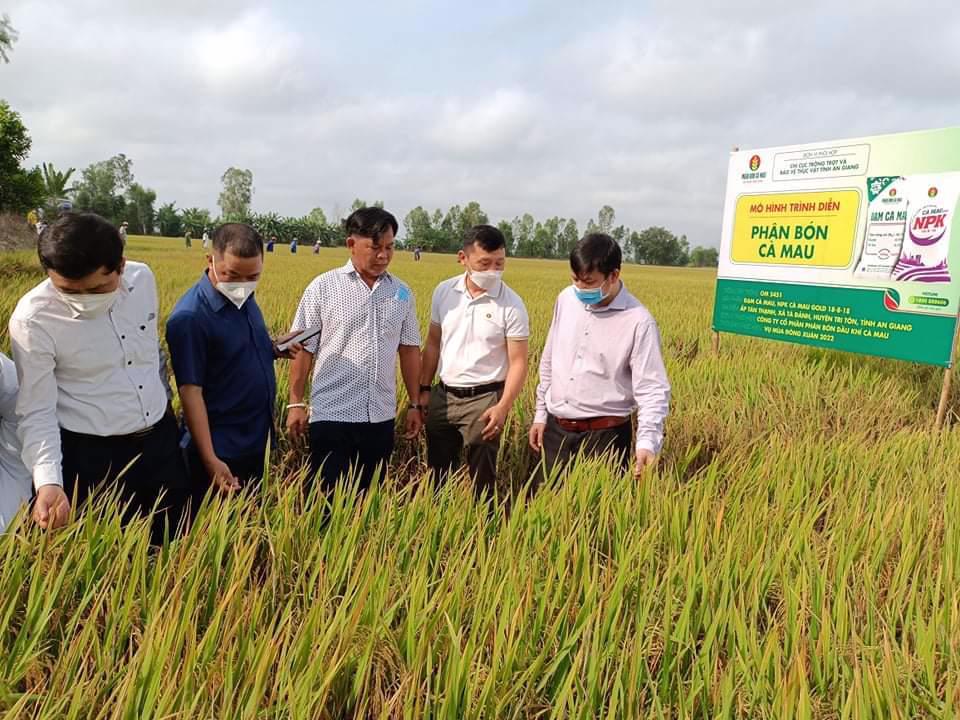 Nhà nông tin chọn: Phân bón Cà Mau là hàng Việt Nam chất lượng cao