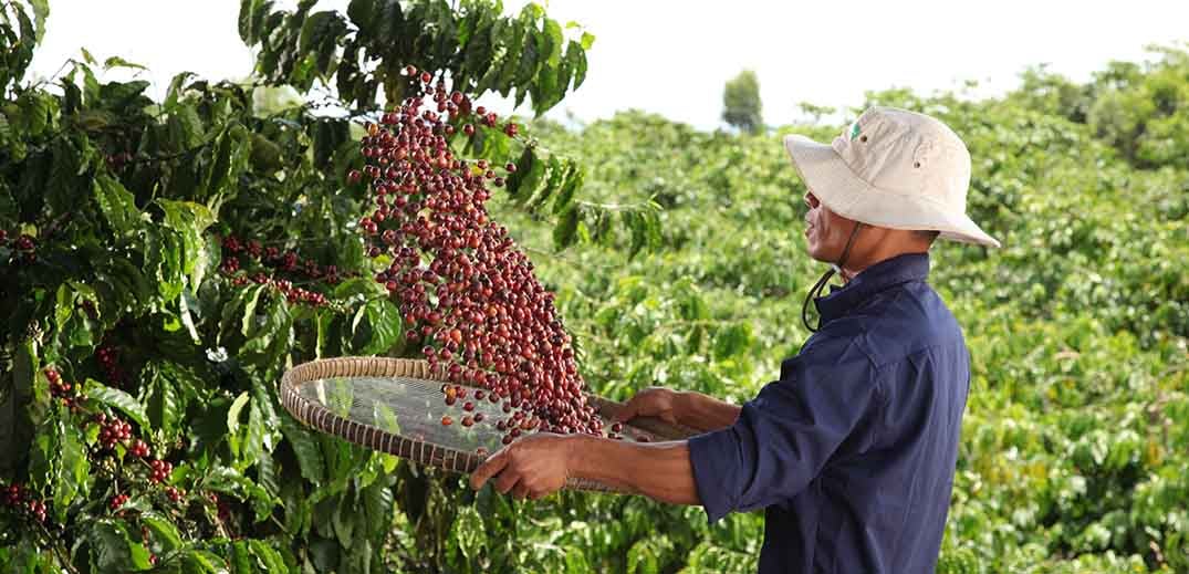 Nestlé công bố báo cáo tiến độ Chương trình NESCAFÉ Plan 2030