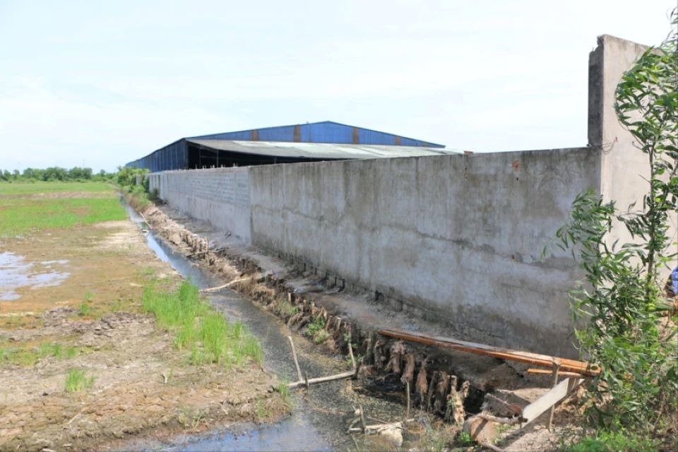 Tạm dừng xử phạt hành chính để điều tra công ty phân bón ở Long An gây ô nhiễm môi trường