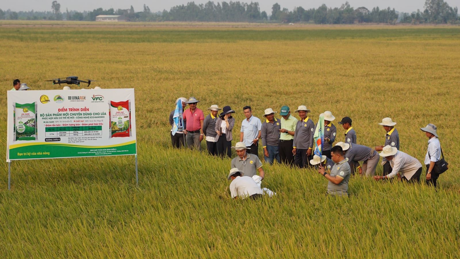 Nhu cầu phân bón tăng cao: Phân bón 2Phong đặt mục tiêu tiêu thụ gần 90 nghìn tấn