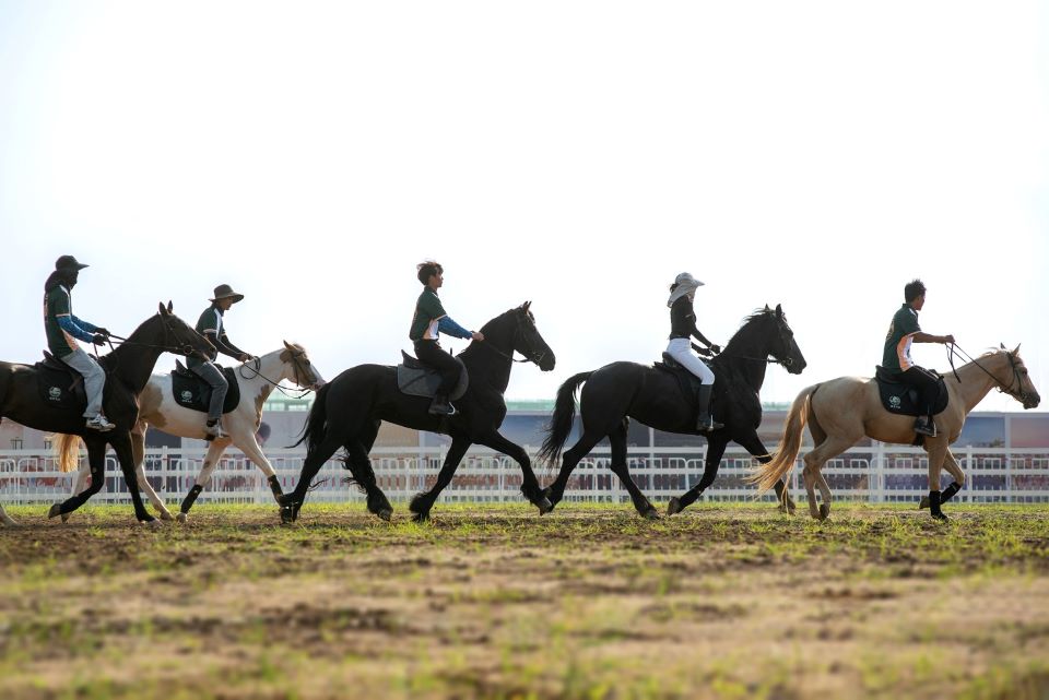 Loài ngựa cao nhất thế giới chào đời tại Vinpearl Horse Academy