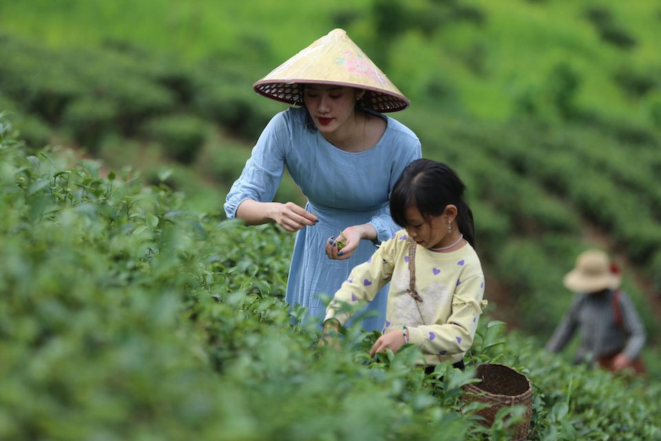 Du lịch trang trại: "Món ăn lạ" đang trở thành xu hướng phát triển bền vững