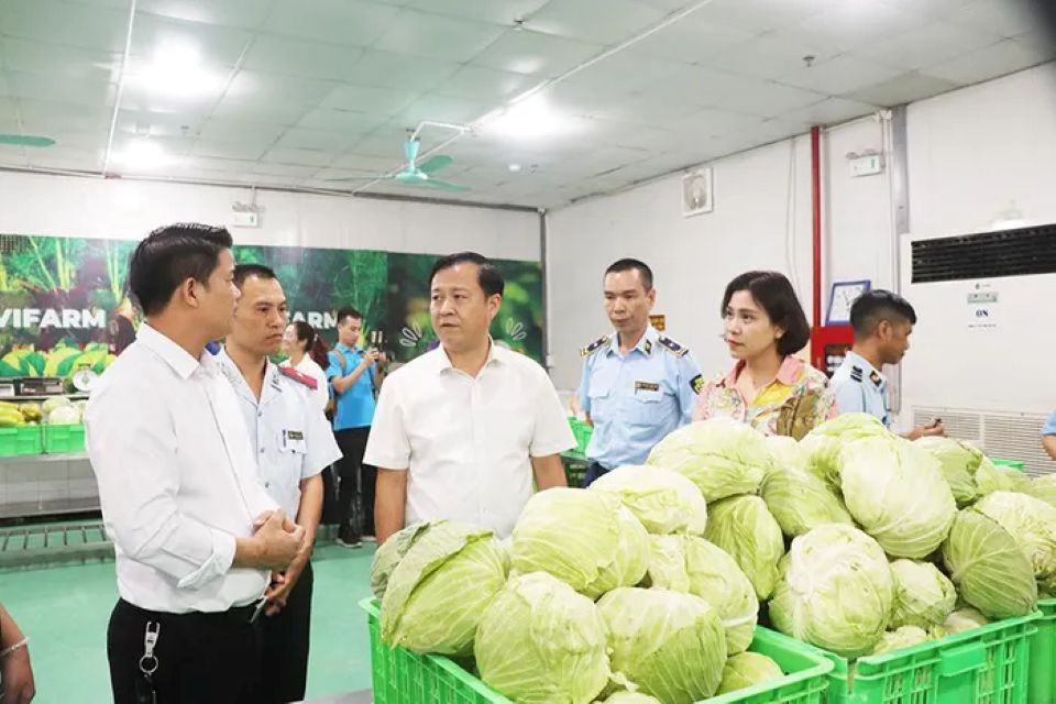 Dưa, cà muối bảo quản không an toàn: nguy cơ gây ngộ độc botulinum?