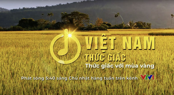 Phân Bón Cà Mau miệt mài “Thức Giấc Với Mùa Vàng"