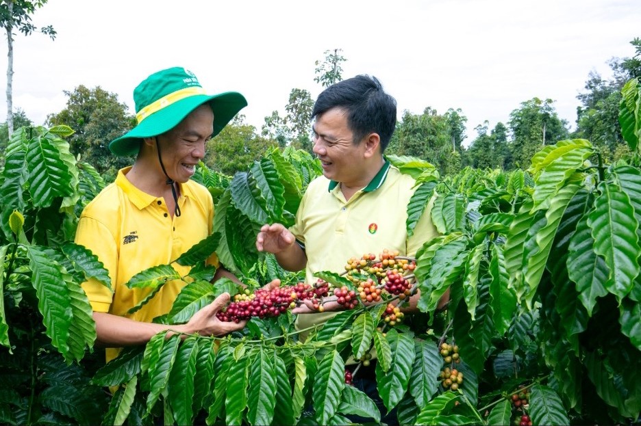 Cùng Phân bón Cà Mau “Đồng tâm gắn kết – Khát vọng vươn xa”