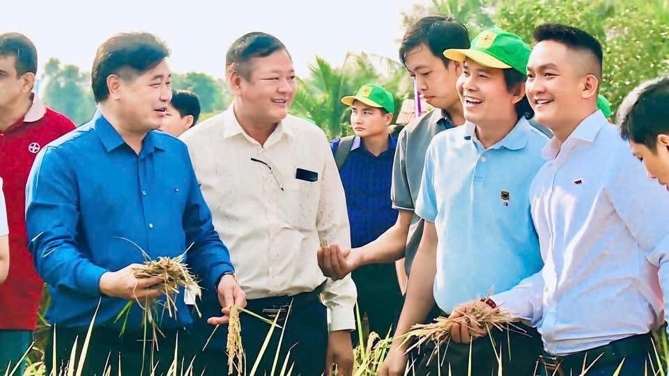 Canh tác lúa giảm phát thải: Hành trình nâng cao giá trị hạt gạo Việt