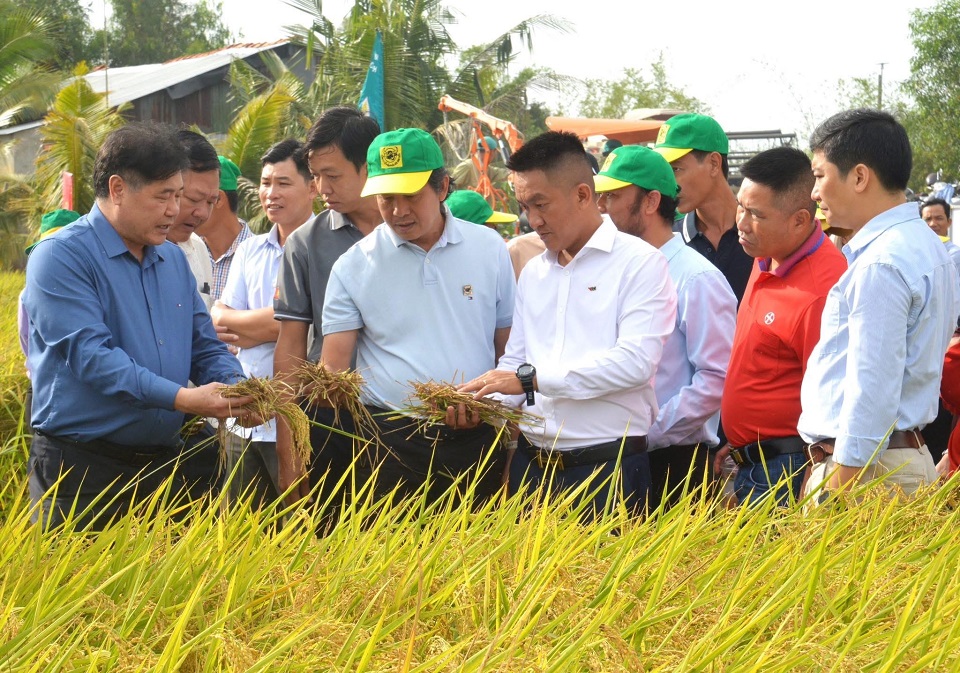 Canh tác lúa giảm phát thải: Hành trình nâng cao giá trị hạt gạo Việt