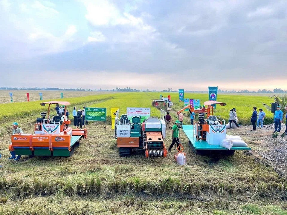 Canh tác lúa giảm phát thải: Hành trình nâng cao giá trị hạt gạo Việt