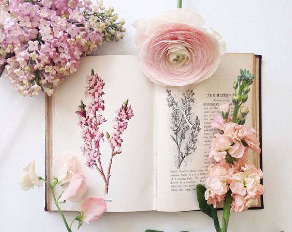 Tử vi ngày 3/5/2025 của 12 cung hoàng đạo: Song Ngư gần đây dễ bị mệt mỏi 