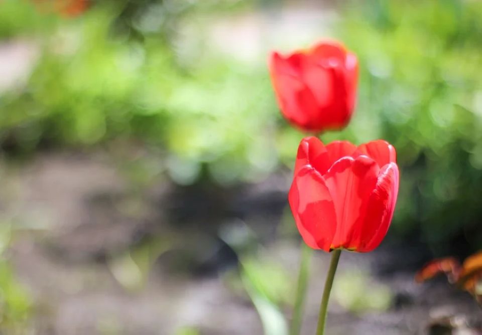 Tử vi ngày 4/5/2025 của 12 cung hoàng đạo: Song Ngư cần chú ý đến chế độ ăn uống