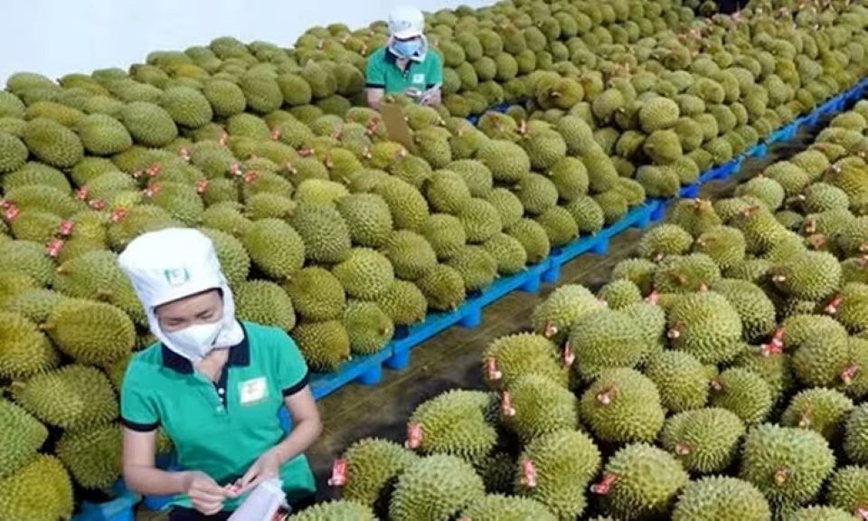 Tiếp đà tăng trưởng xuất khẩu nông sản