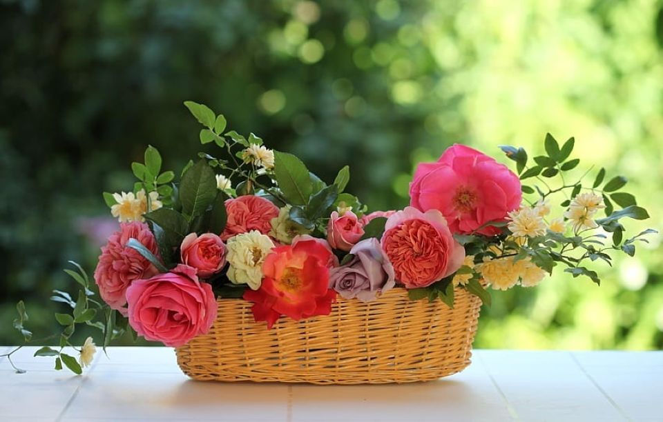 Tử vi ngày 17/5/2025 của 12 cung hoàng đạo: Bạch Dương nên cẩn trọng khi chi tiêu