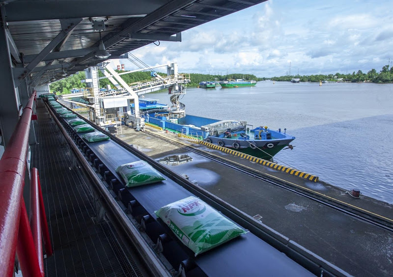 Bứt phá toàn diện, PVCFC giữ thế chủ lực trong mùa vụ Hè Thu