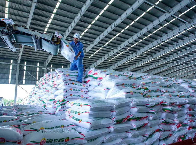 Bứt phá toàn diện, PVCFC giữ thế chủ lực trong mùa vụ Hè Thu