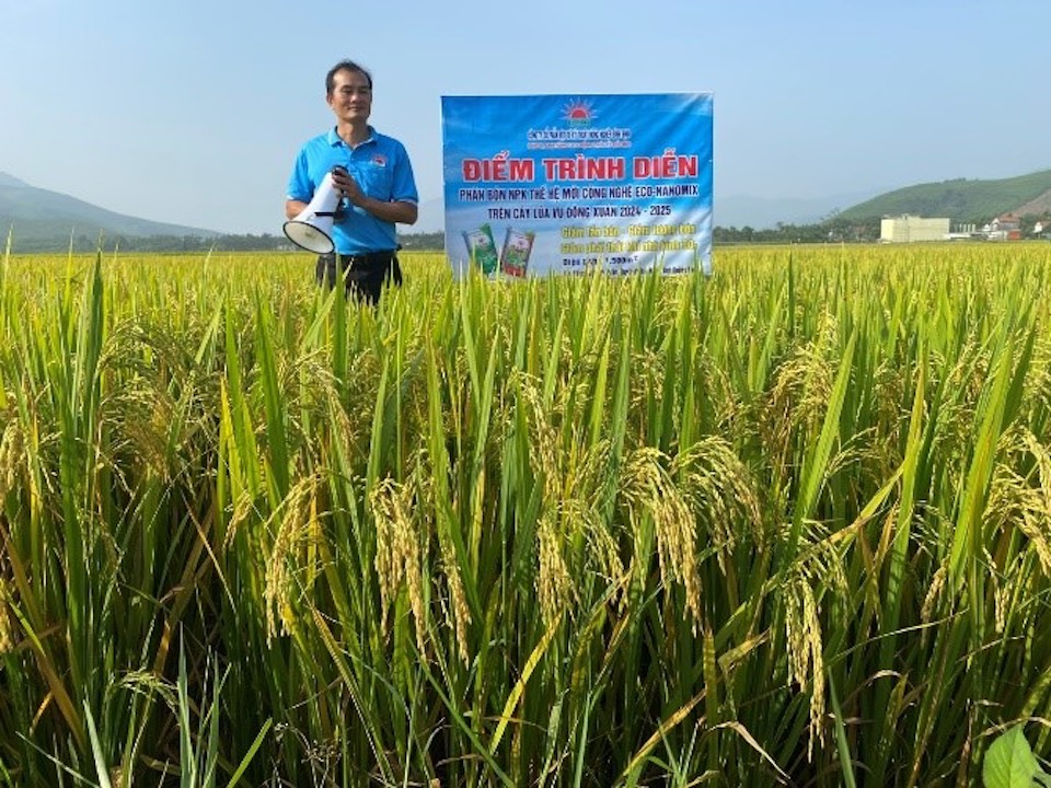 Hiệu quả vượt mong đợi từ phân NPK Mặt Trời Mới công nghệ Eco-Nanomix trên cây lúa tại Duyên hải Nam Trung Bộ