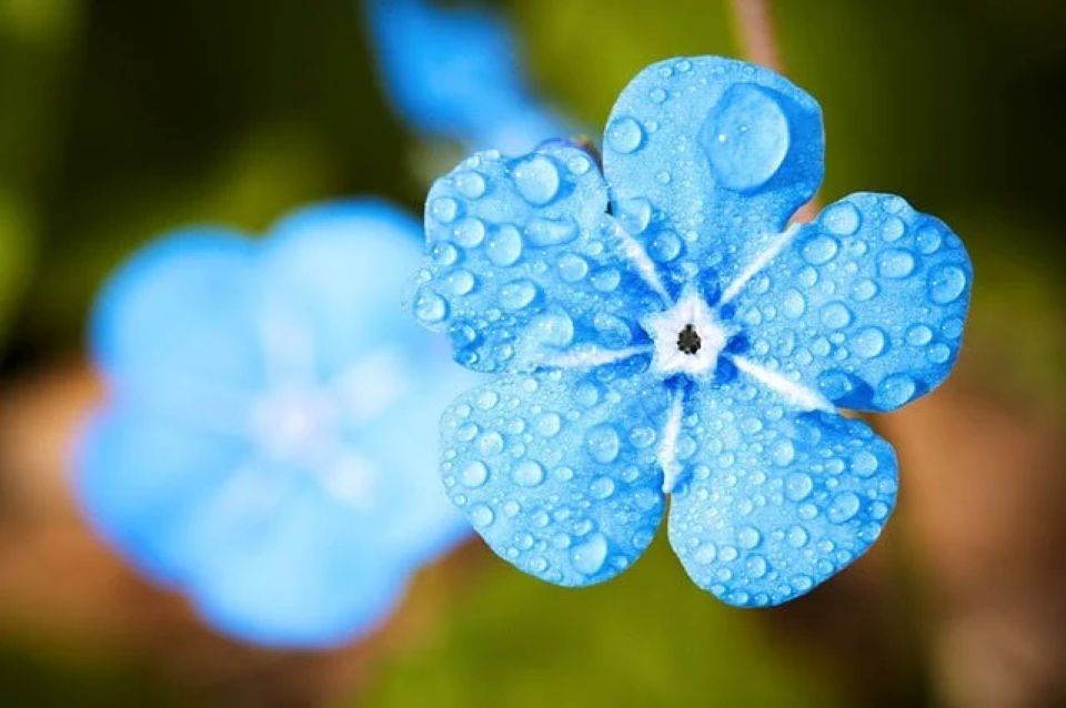 Tử vi ngày 23/5/2025 của 12 cung hoàng đạo: Song Ngư không nên lo lắng nhiều