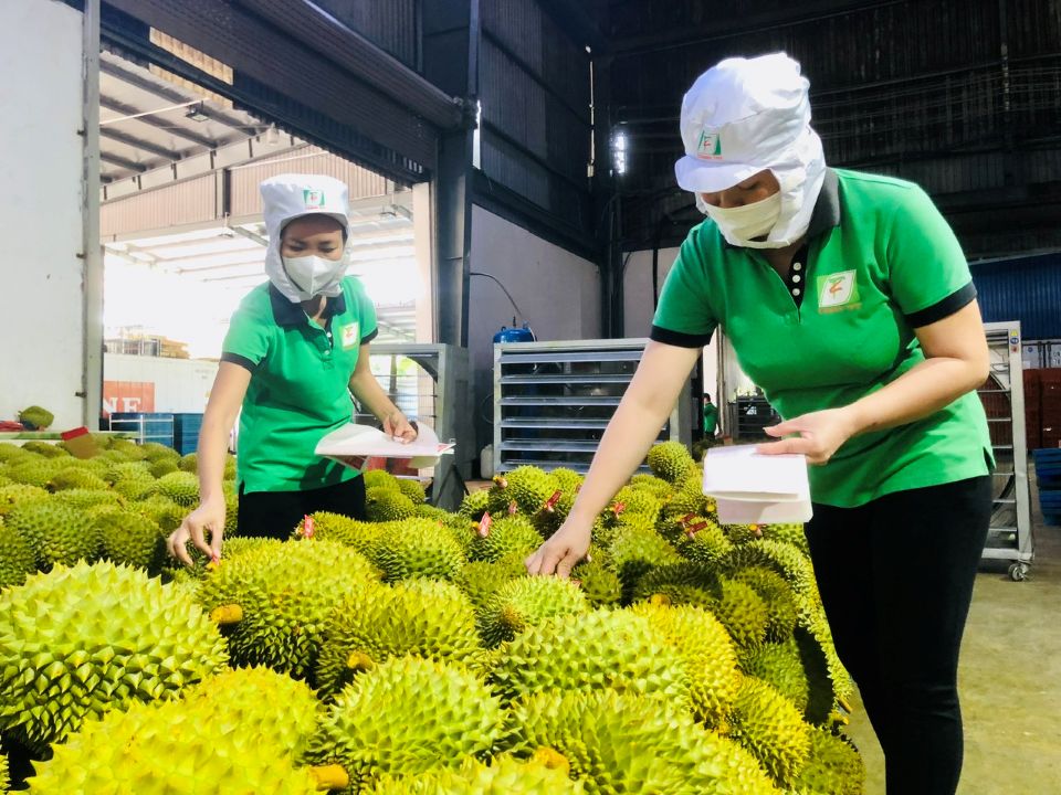 Kiểm soát chặt chẽ diện tích trồng mới, ưu tiên thủ tục thông quan cho trái sầu riêng
