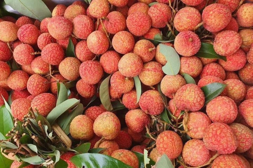 Tiêu dùng trong tuần (19/5-25/5/2025): Sầu riêng, thanh long, vải u hồng,... giá rẻ bất ngờ