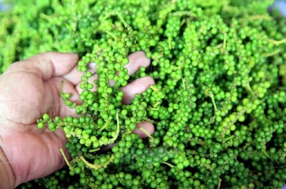 Giá nông sản ngày 30/5/2025: Cà phê và hồ tiêu cùng giảm mạnh
