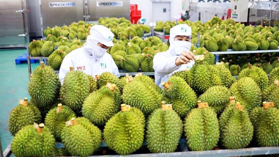 Thủ tướng yêu cầu khắc phục tình trạng '"ược mùa mất giá", nâng cao thu nhập cho người nông dân